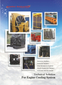 sinrui company_0.jpg